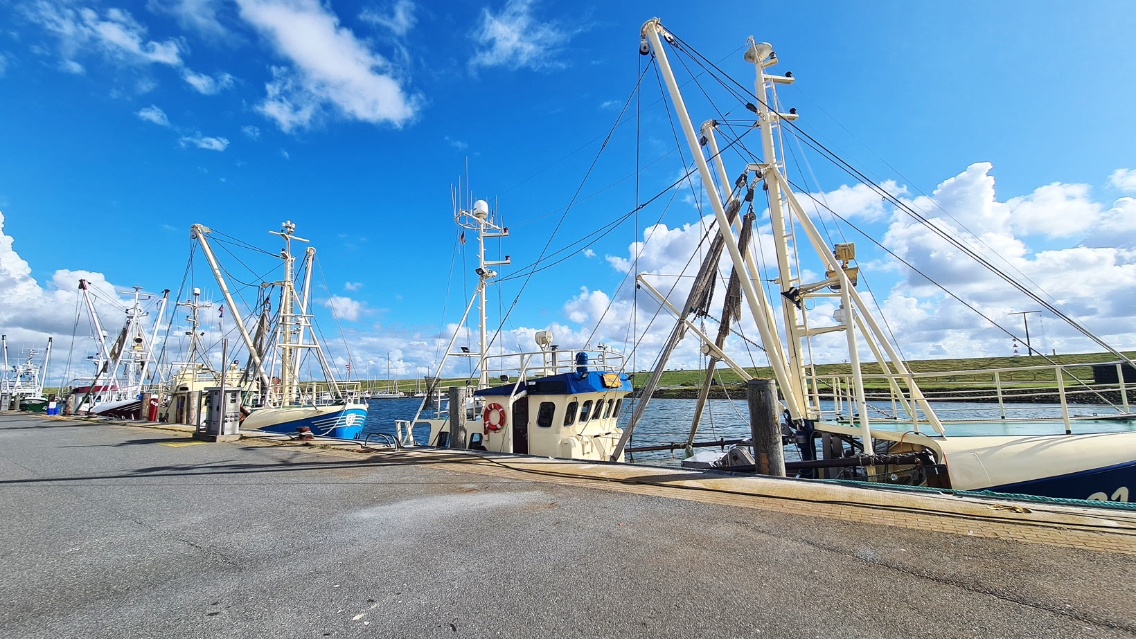 Büsum Hafen Fischereischiffe