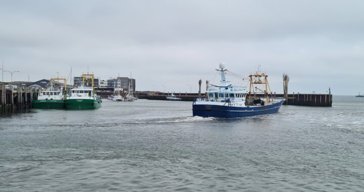 EBFA trifft Kommissar Kadis – kein pauschales Verbot für grundberührende Fischerei